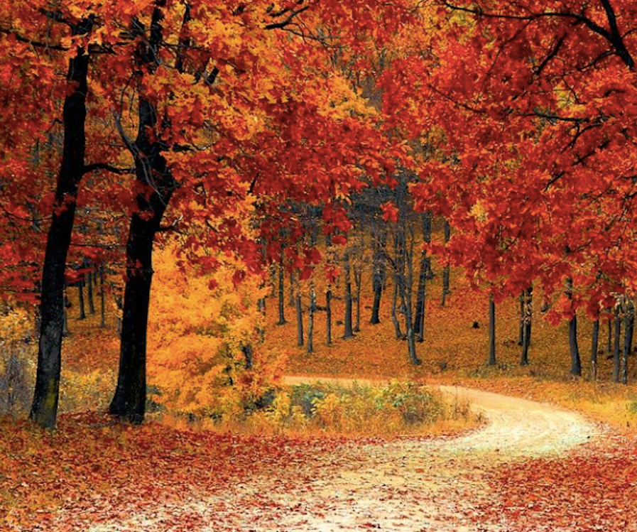 "The Path to Peace is Paved with Prayer"